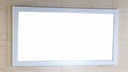 Patterson 48" x 24" Mirror