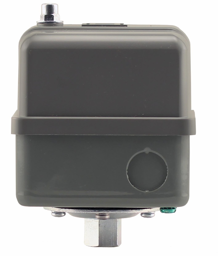 9013GHG2J30 - '1/4" FPT 80-100 Heavy Duty'