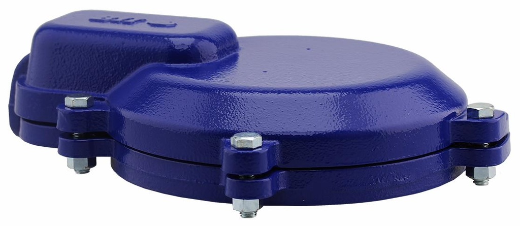 WTCC-6-CI - '---DISC---6" Watertight C.I. Well Cap'