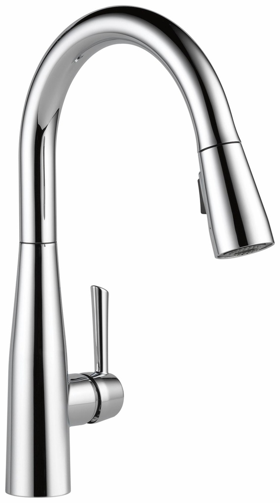 Essa Kitchen Faucet with Pulldown Spray