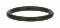 O ring, All Water Heaters 2 KT