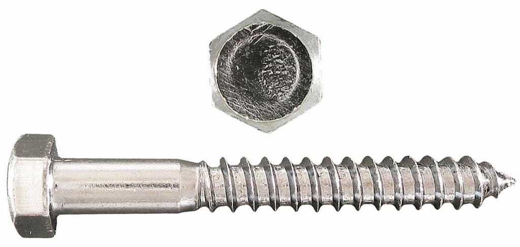 HEX HD LAG BOLT PLTD