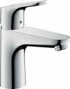 Focus 100 Single Hole Bathroom Faucet