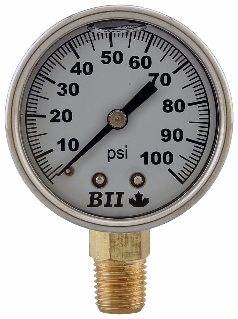 PG-100-GNL - 'No Lead 2"Liq Fil 1/4"Lm 0-100'