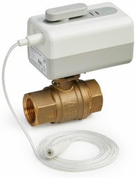 [3975914] L5 Wifi Actuator with 1" FPT Ball Valve
