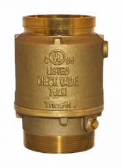 [3804230] 2-1/2 GRV CHECK VALVE 09-566-00