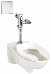[1351061] Afwall 1.1 GPF Wall Mounted Elongated Flushometer Bowl with Back Spud (Less Seat)