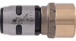 [1229064] 1/2"  FPT Adapter