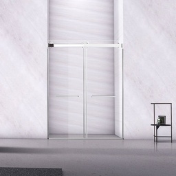 SHOWER DOOR S7502-60"*76"