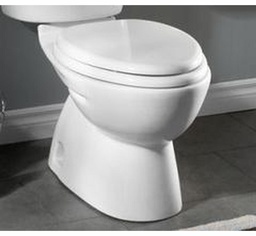 [1304895] FloWise Elongated Toilet Bowl