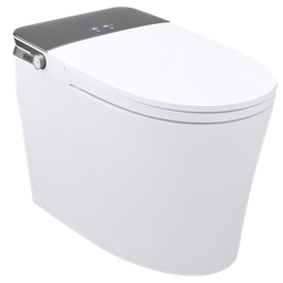 SMART TOILET 613