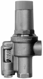 [3979060] Differential Pressure Regulator