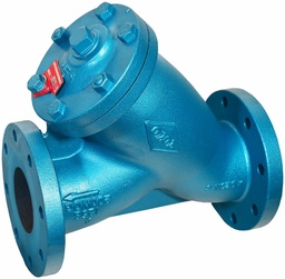 [5993180] 2-1/2 FLG R+W WYE STRAINER 381JA